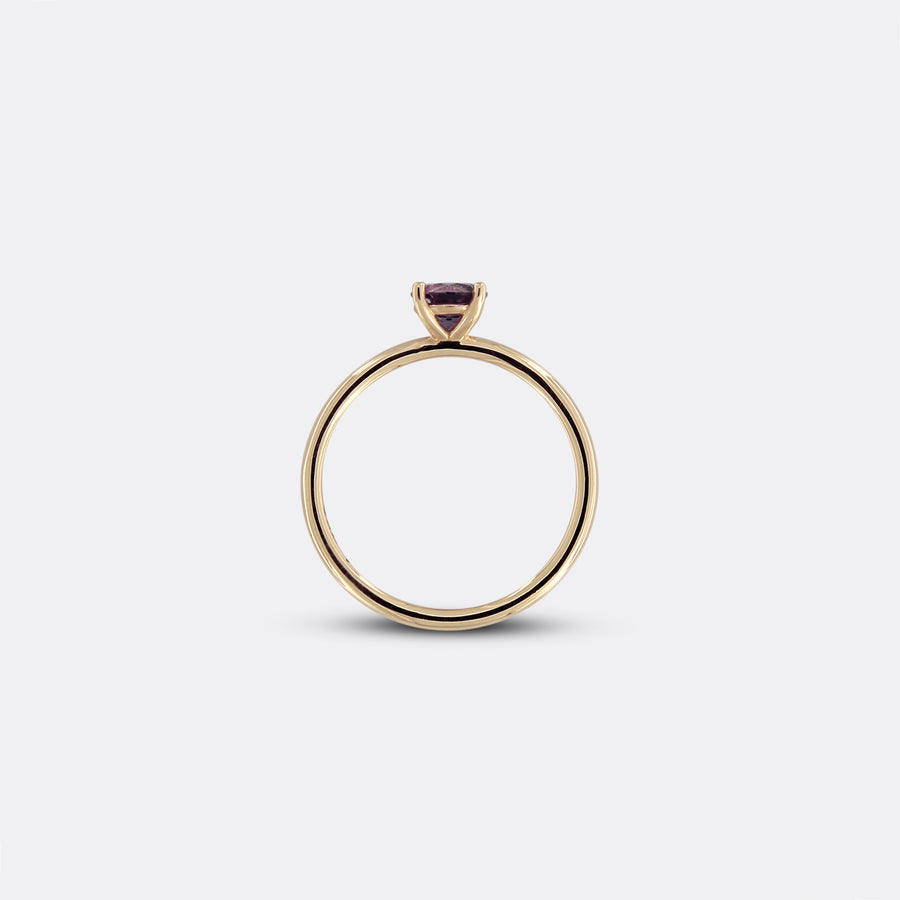 SPINEL ring